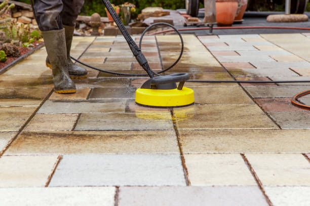 Best Pre-Holiday Cleaning  in Mayville, NY